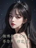 微博推荐小说《苏念熙 穆霆墨》